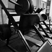 Proflex gym leg weights