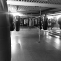 Proflex Gym boxing