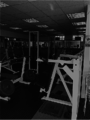 Main Gym Area free weights