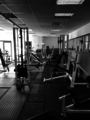 Free weights Proflex gym main area full training